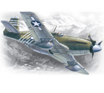 Icm - P-51A  1st ACG